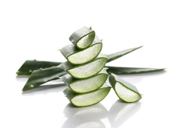 Possibilités d'utilisation du gel d'aloe vera